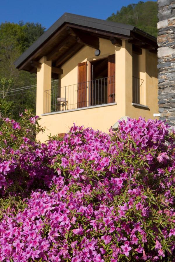 Violina Casa Vacanze Pettenasco Luaran gambar